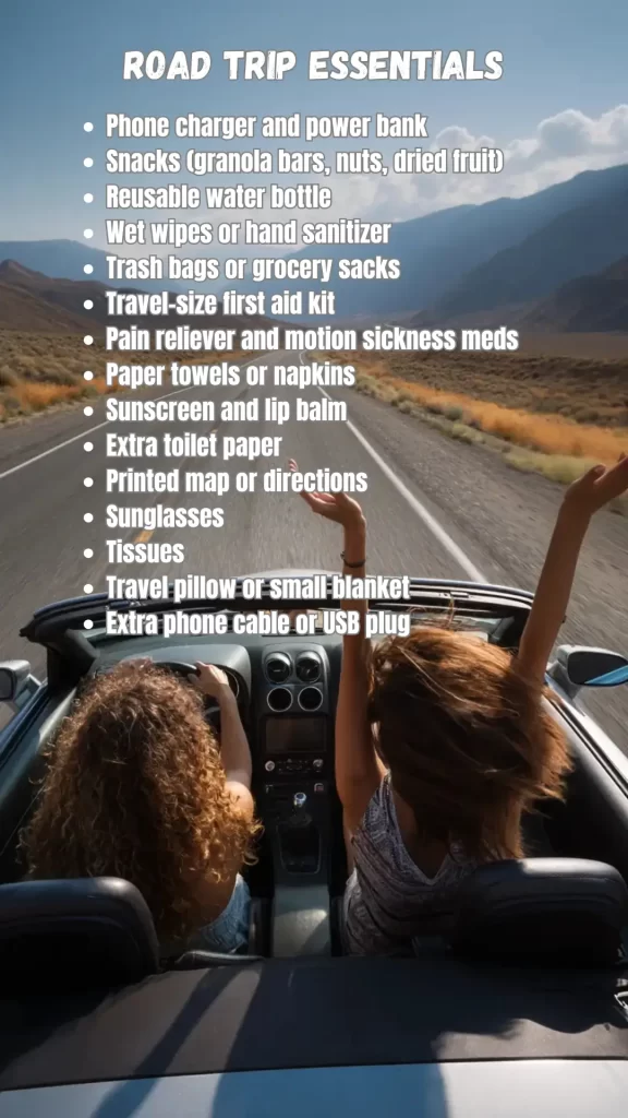 road trip essentials