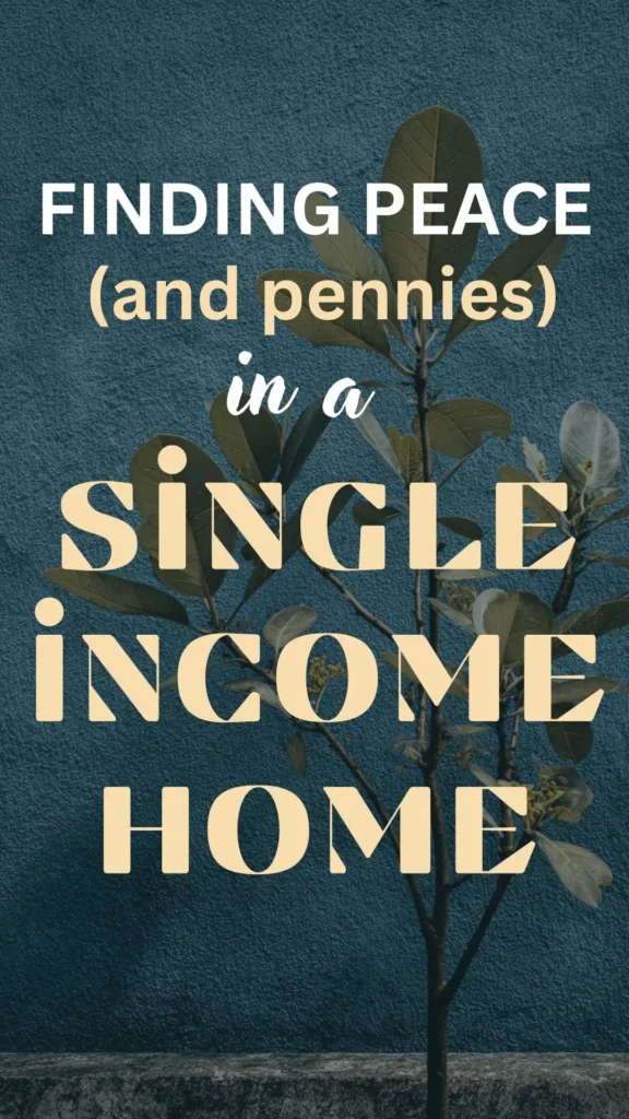 single income home