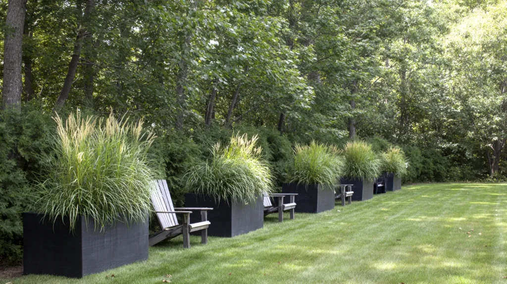 backyard privacy ideas